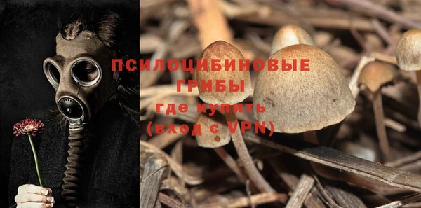 стафф Березники
