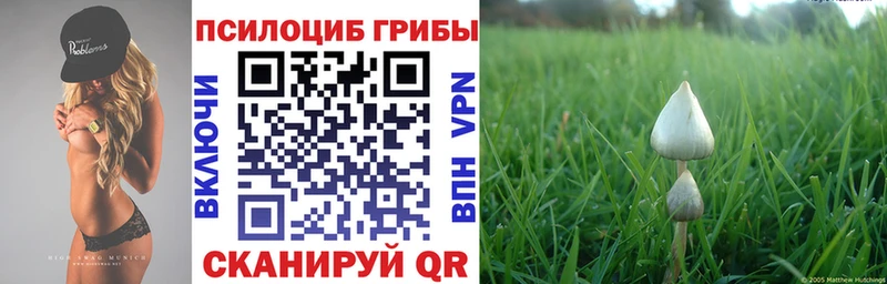 Галлюциногенные грибы Cubensis  MEGA ссылка  Краснокамск  где купить наркотик 